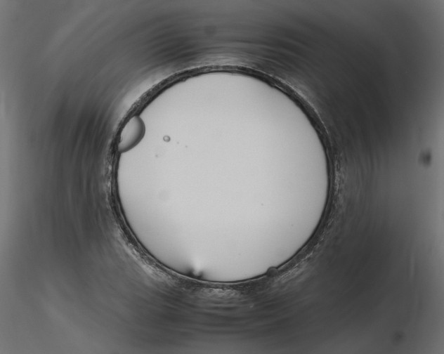 X0000116561119200912311927