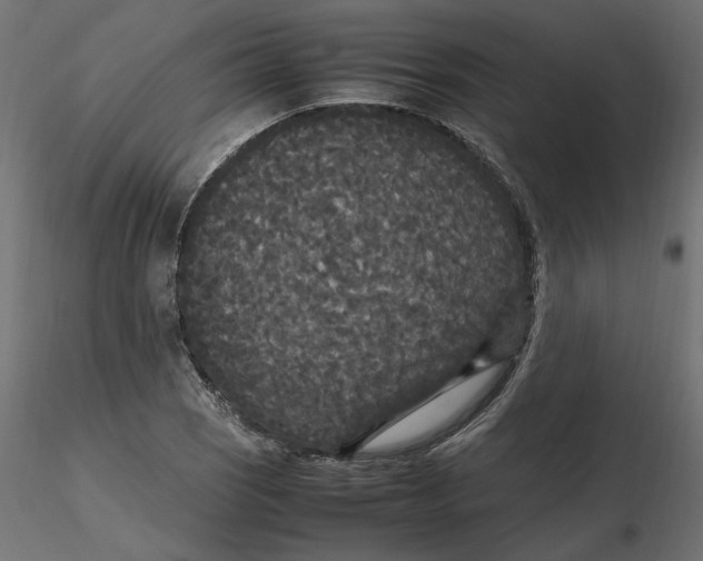 X0000116561121200912311927