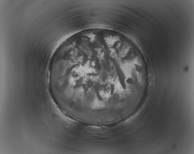 X0000116561125200912311927