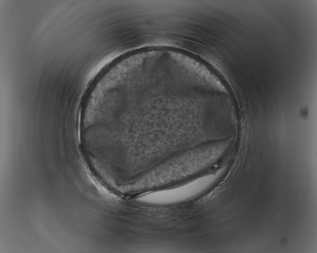 X0000116561127200912311927