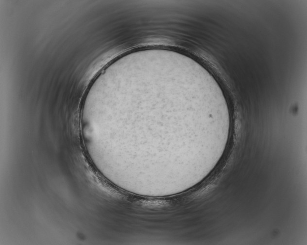 X0000116561129200912311927