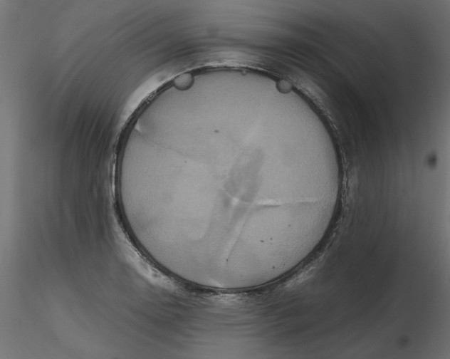 X0000116561130200912311927