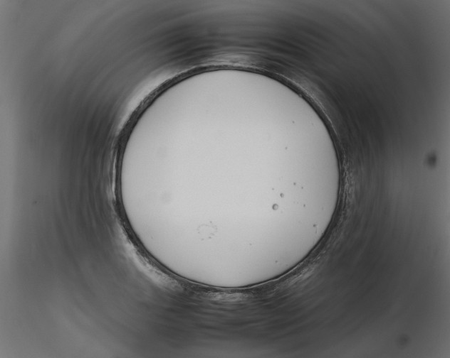 X0000116561131200912311927