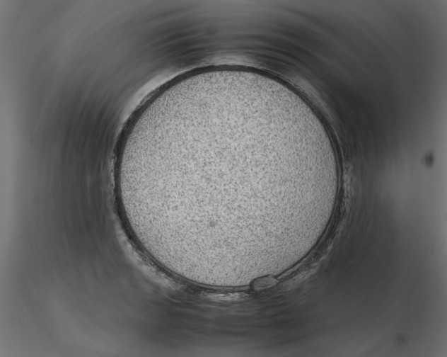 X0000116561133200912311927