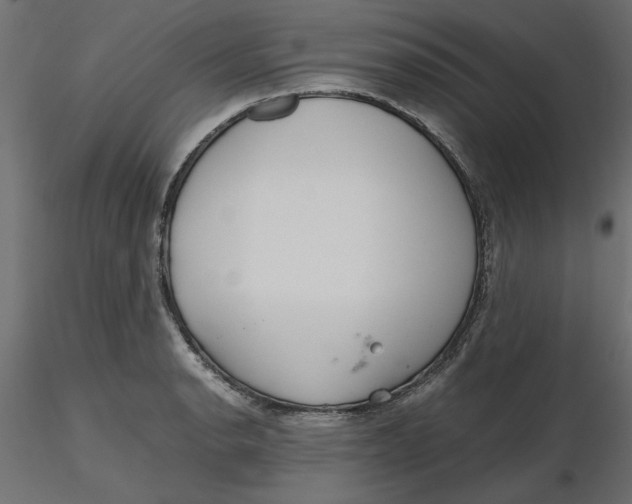 X0000116561134200912311927