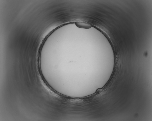 X0000116561135200912311927