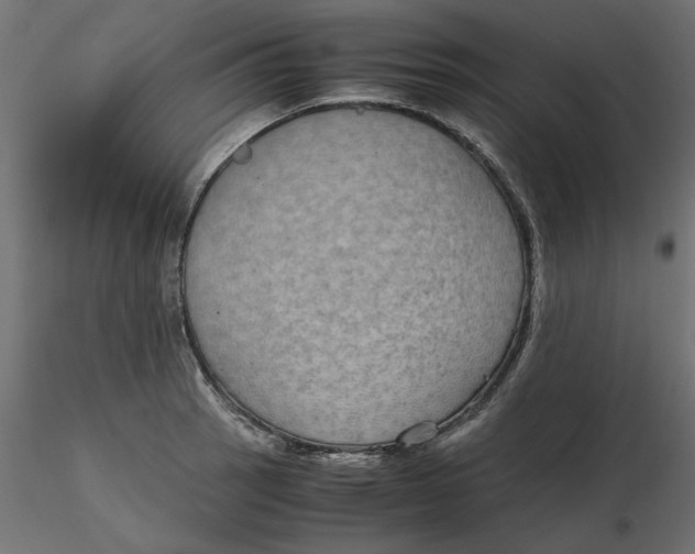 X0000116561137200912311927