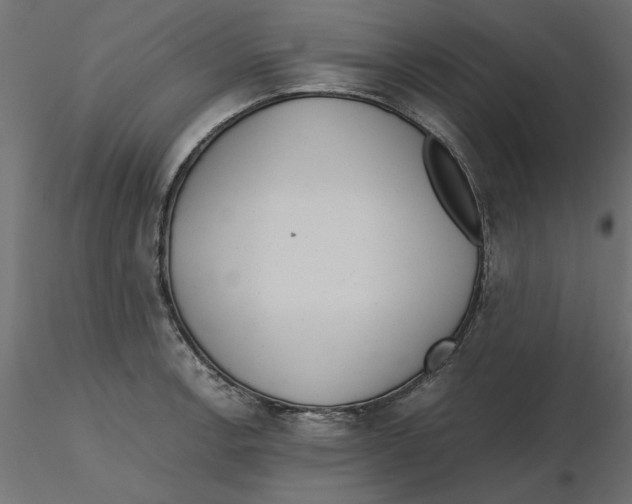 X0000116561138200912311927