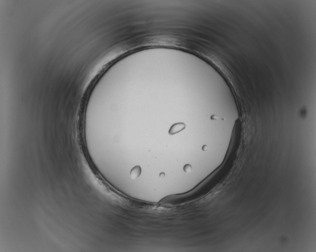 X0000116561139200912311927