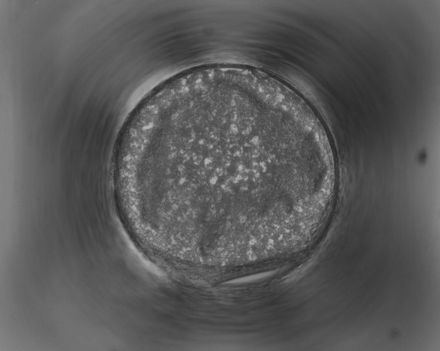 X0000116561141200912311927