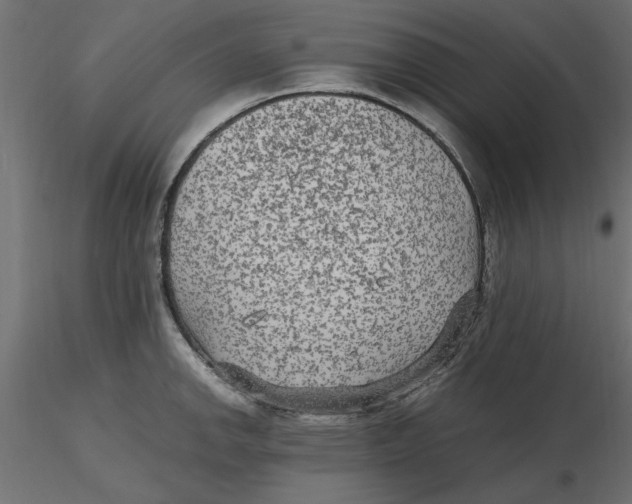 X0000116561142200912311927