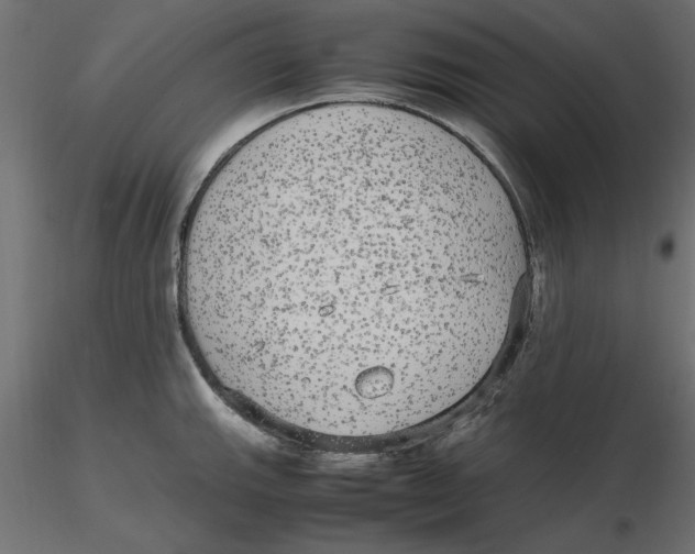 X0000116561143200912311927