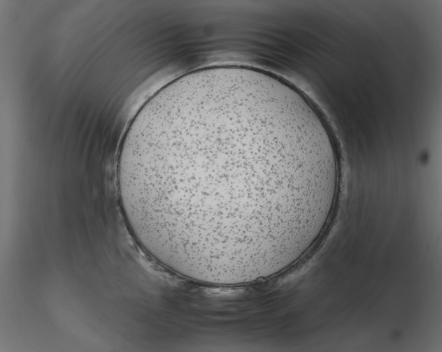 X0000116561145200912311927