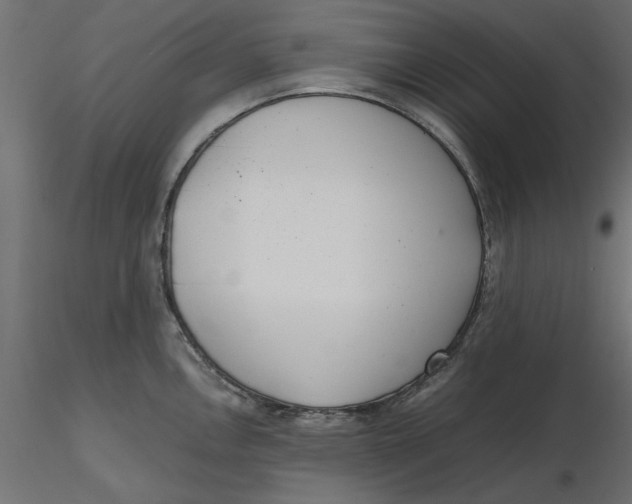 X0000116561146200912311927