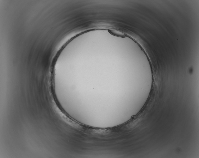 X0000116561147200912311927