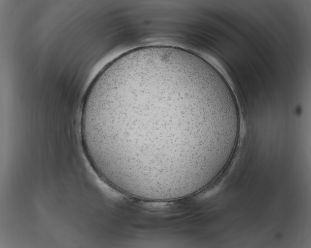 X0000116561149200912311927