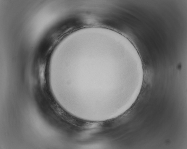 X0000116561150200912311927