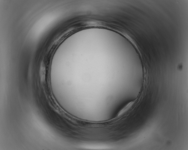 X0000116561151200912311927