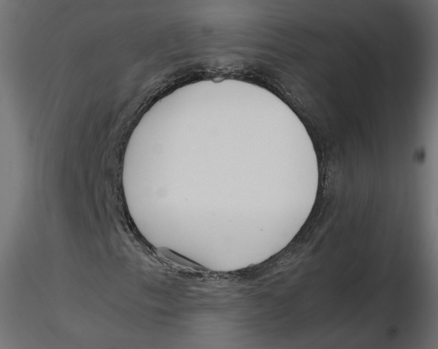 X0000116561153200912311926