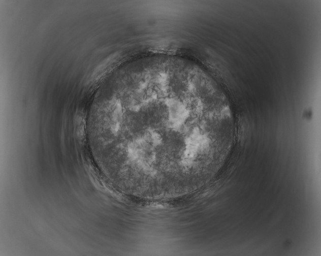 X0000116561154200912311926