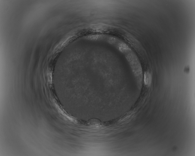 X0000116561155200912311926