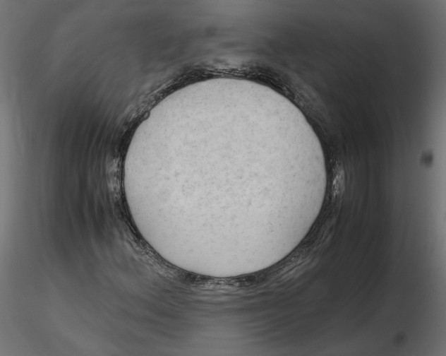 X0000116561156200912311926