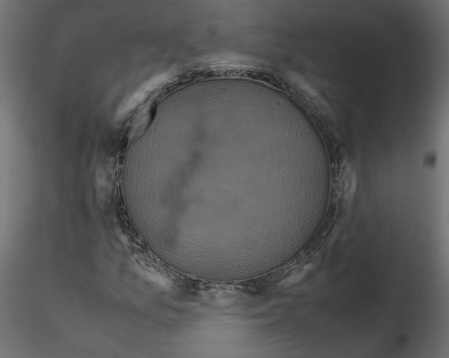 X0000116561157200912311926