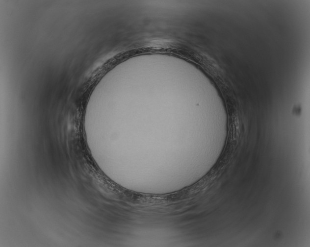 X0000116561158200912311926