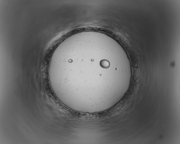 X0000116561159200912311926