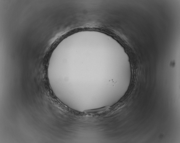 X0000116561160200912311926