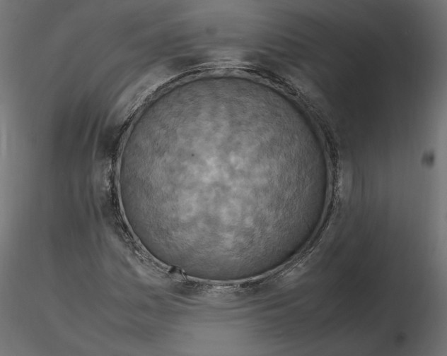 X0000116561161200912311926