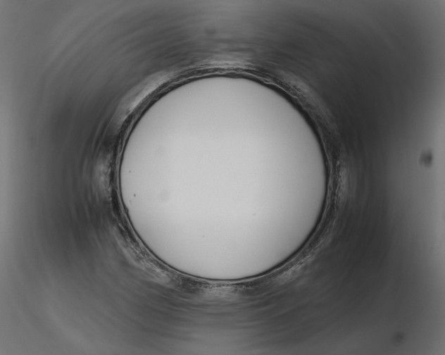 X0000116561162200912311926