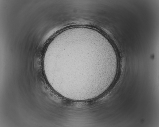 X0000116561163200912311926