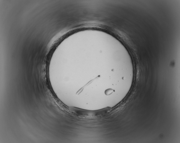 X0000116561164200912311926