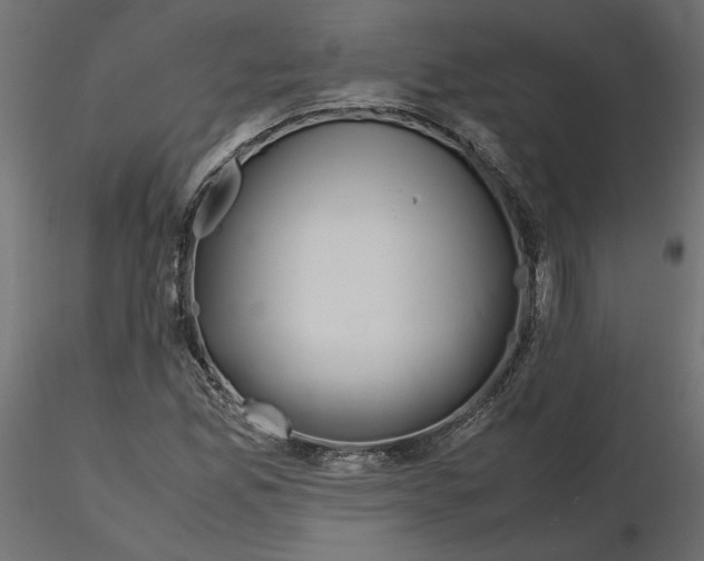 X0000116561165200912311926