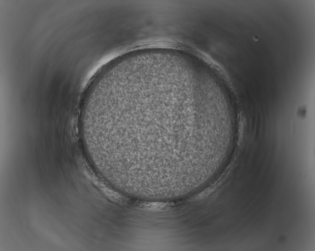 X0000116561166200912311926