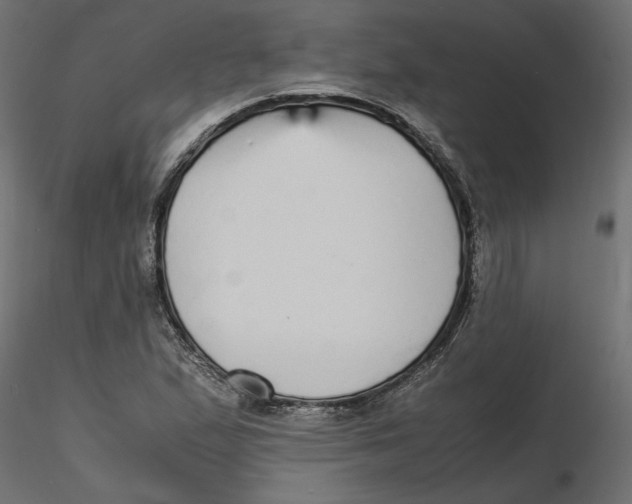 X0000116561167200912311926