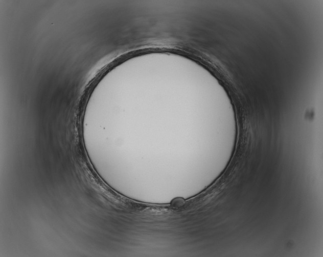 X0000116561168200912311926