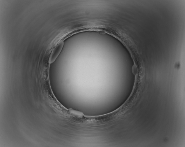 X0000116561169200912311926