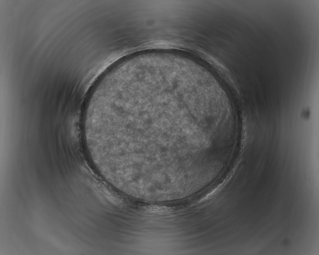 X0000116561170200912311926