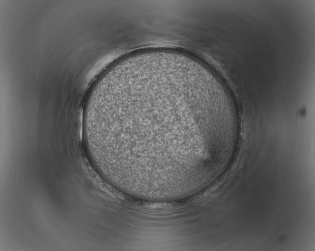 X0000116561171200912311926