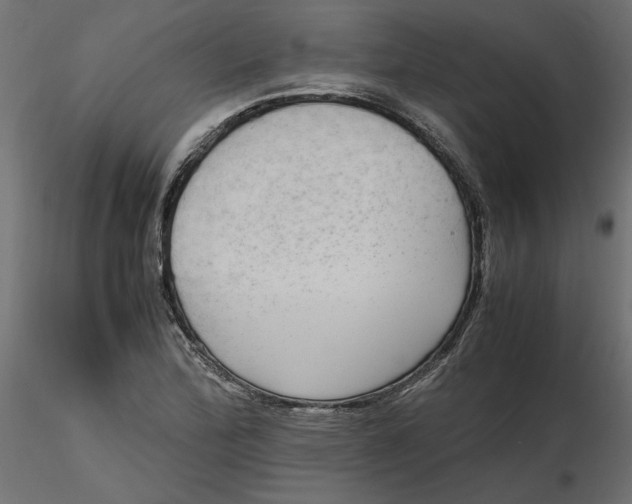 X0000116561172200912311926