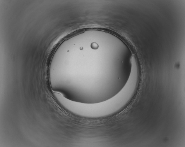 X0000116561173200912311926