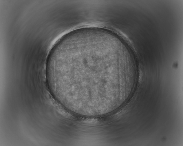 X0000116561174200912311926