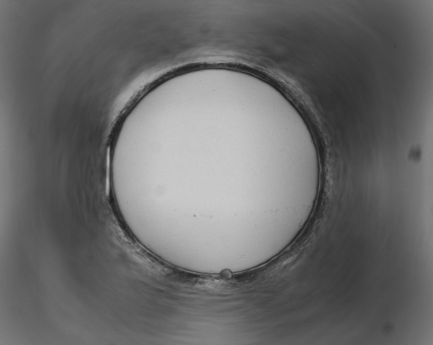 X0000116561175200912311926