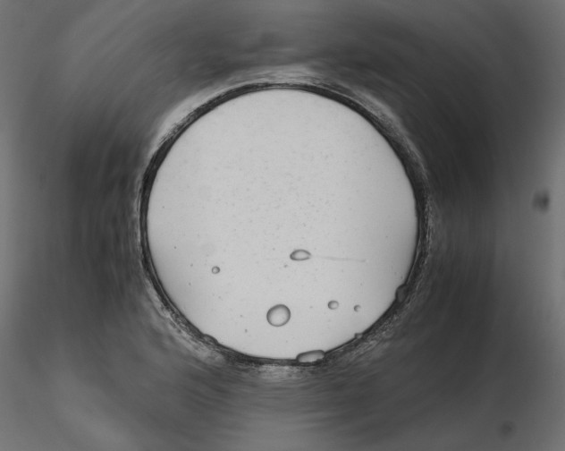 X0000116561176200912311926