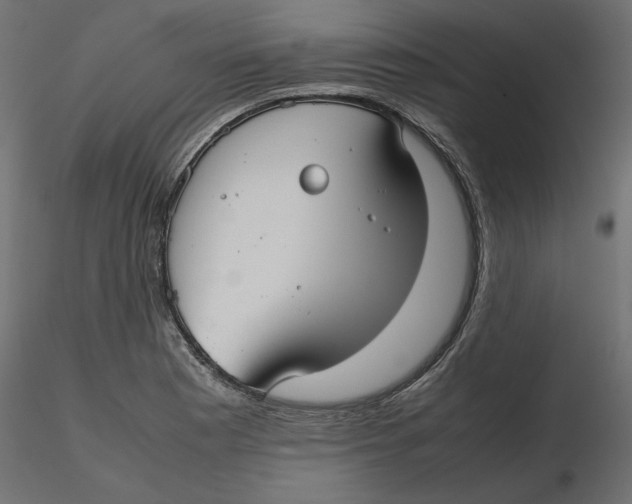 X0000116561177200912311926