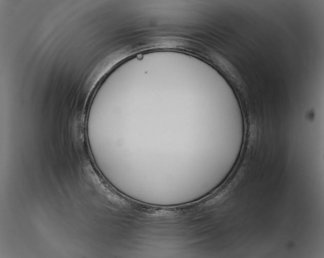 X0000116561178200912311926