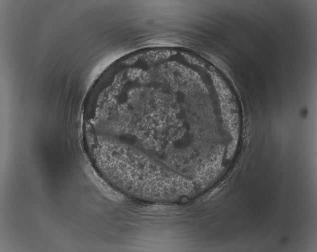 X0000116561179200912311926