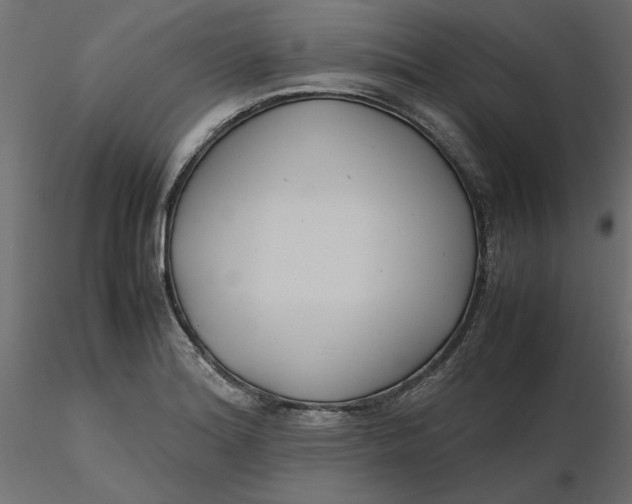 X0000116561180200912311926